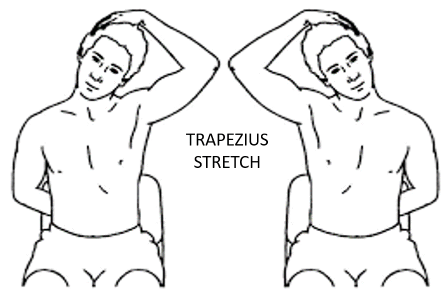 TRAPEZIUS STRETCH